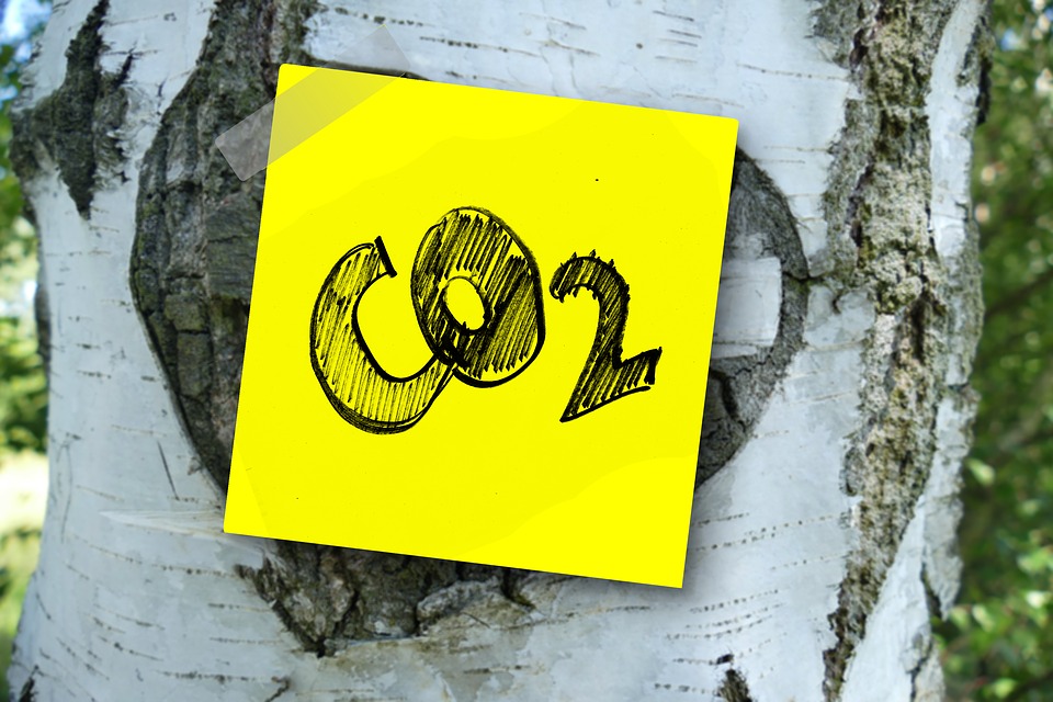 CO2 og træ