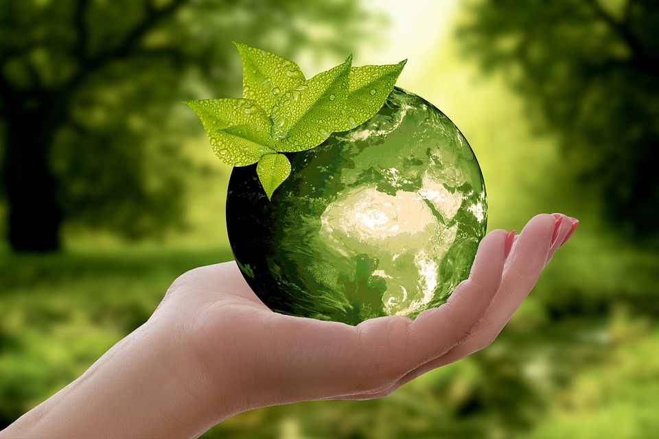 grøn, natur, jord, blad, miljø, klima