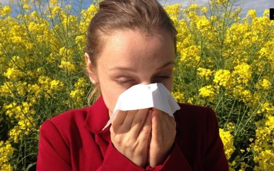 Sådan håndterer du pollenallergi effektivt: Tips og produkter til lindring